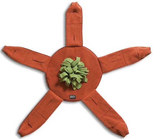 Knauder's Best Sniffstar