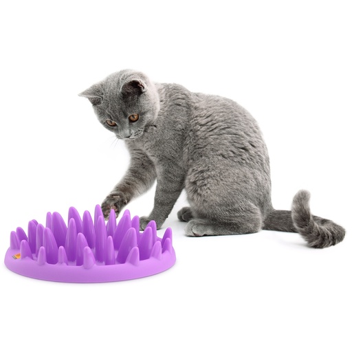 Northmate Interactive Feeder Katzennapf Catch