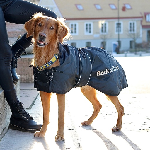 Back on Track Standardmantel