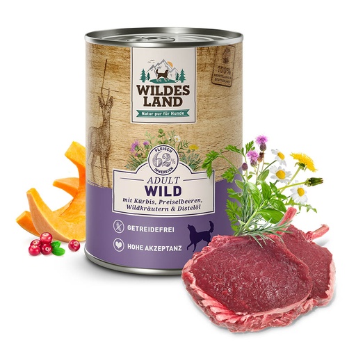 Wildes Land Wild mit Kürbis 
