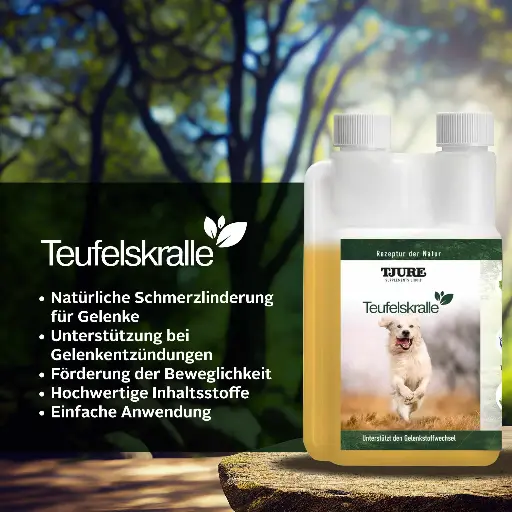 Tjure Supplements Teufelskralle