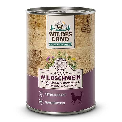 Wildes Land Wildschwein mit Pastinake