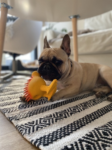 Kiwi Walker Whistle Figure