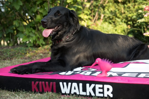 Kiwi Walker Pet Bed Pink/Black