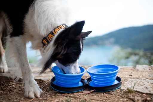 Kiwi Walker Travel Double Bowl Blue