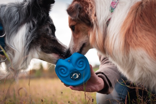 Kiwi Walker Rewards pocket Blue