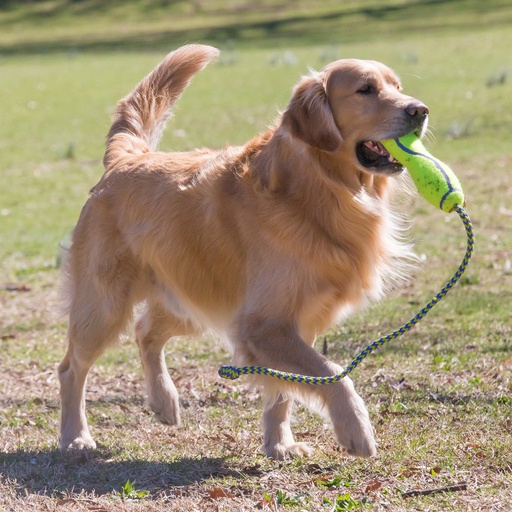 Kong AirDog Fetch Stick mit Seil 