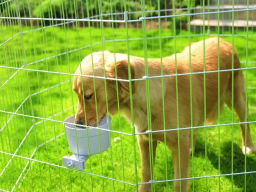 Savic Crock Napf für Transportbox 300 ml