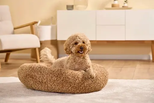 Wolters Sweet Dreams Hundekörbchen 