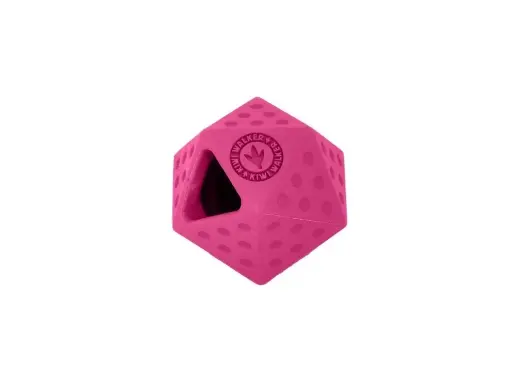 Kiwi Walker Icosaball Mini