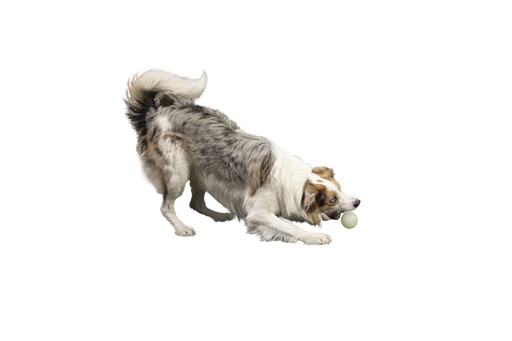 Kiwi Walker Glow Ball