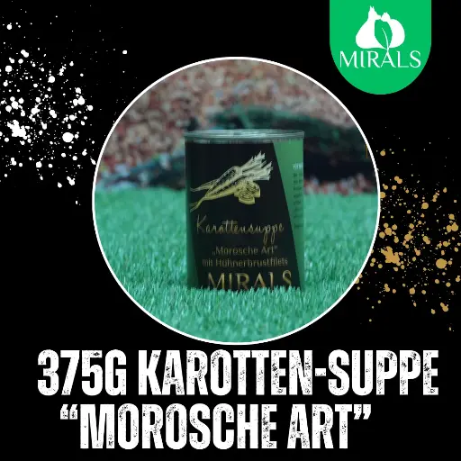 MIRALS Karottensuppe "Morosche Art"