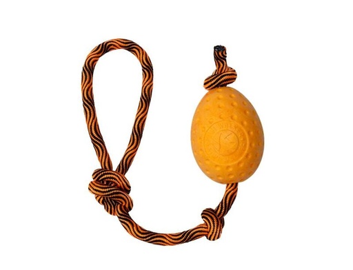 Kiwi Walker Egg Maxi