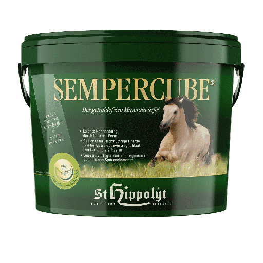 St. Hippolyt Mineralien SemperCube